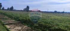 Foto Terreno in vendita a Ramacca