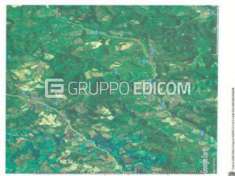 Foto Terreno in vendita a Rocca San Casciano - Rif. 4534196