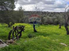 Foto Terreno in vendita a Siracusa, Cassibile