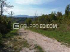 Foto Terreno in vendita a Sogliano al Rubicone - Rif. 4509682