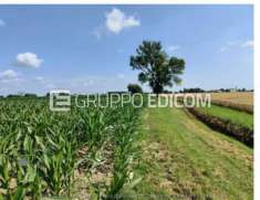 Foto Terreno in vendita a Tresigallo - Rif. 4520431