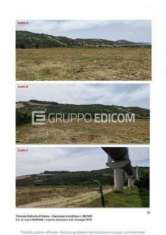 Foto Terreno in vendita a Tursi - Rif. 4507450