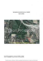 Foto Terreno in vendita a Tursi - Rif. 4508069