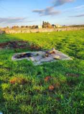 Foto Terreno in Vendita a Zollino con Uliveto e Deposito