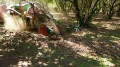 Foto Terreno Noccioleto Pianeggiante a Reddito