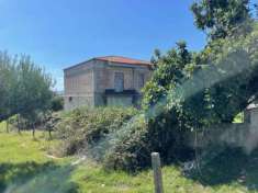 Foto Terreno pi rustico