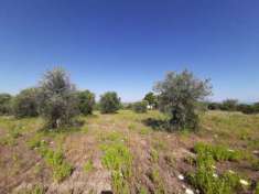 Foto TERRENO PIANEGGIANTE VISTA MARE