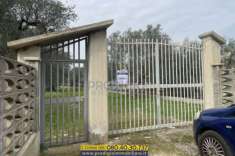 Foto Terreno recintato in vendita a Bisceglie
