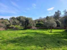 Foto Terreno Residenziale - Nuxis . Rif.: 345670