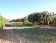 Foto Terreno Residenziale - Roseto degli Abruzzi . Rif.: Cod. rif 3170760VRG