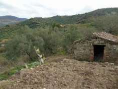 Foto Terreno Residenziale - San Mauro Cilento . Rif.: tersma65000