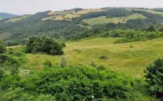 Foto TERRENO SEMINATIVO E BOSCO