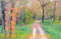 Foto Tn centro sud AMPISSIMO APP IN VENDITA