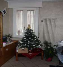 Foto Trilocale in vendita a Cesena