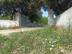 Foto Trullo in vendita a Martina Franca