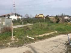 Foto Uliveto a contrada Polercia in produzione