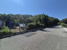 Foto Uliveto in vendita a Caraffa di Catanzaro