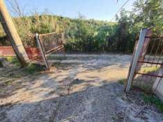 Foto Uliveto in vendita a Marcellina