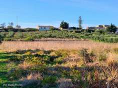 Foto Uliveto in vendita a Valderice