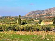 Foto Uliveto in vendita a Valderice