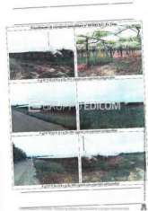 Foto Unit  collabenti di 10 mq  in vendita a Bernalda - Rif. 4523664