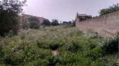 Foto V1396 - In vendita a Marsala terreno agricolo in periferia