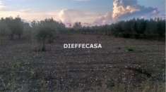 Foto V1510 - In vendita a Marsala terreno agricolo periferia