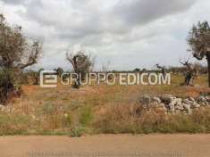 Foto Varie di 165000 mq  in vendita a Nard - Rif. 4500948