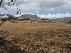 Foto VENDESI - REGGIO CALABRIA - ARETINA