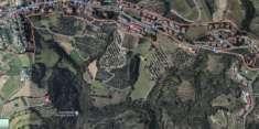 Foto vendesi 6 ettari di Terreno agricolo collinare a Montelaguardia