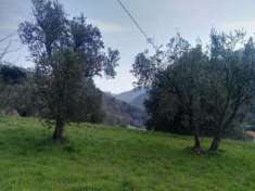 Foto VENDESI