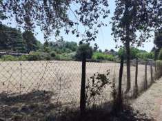 Foto Vendesi od affittasi terreno agricolo