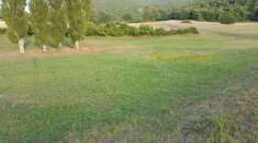 Foto Vendesi prato