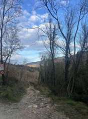 Foto VENDESI TERRENO 1,5 ettari a Prato
