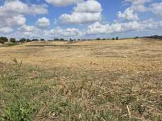 Foto vendesi terreno a Cerveteri