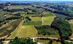 Foto VENDESI TERRENO AGRICOLO CON PROGETTO DI AZIENDA IN MURATURA SU TERRENO FABBRICABILE