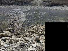 Foto Vendita a Salsomaggiore Terme in Strada Prov 57