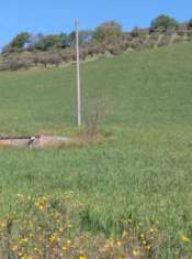 Foto Vendita terreno agricolo