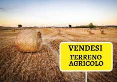 Foto Vendita Terreno agricolo C.da Colle Longo Campobasso (CB)