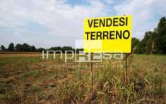Foto Vendita Terreno agricolo Roncade (TV)