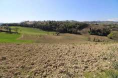 Foto Vendita Terreno agricolo via del mulino Montottone (FM)