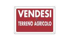 Foto Vendita Terreno agricolo Via Due Madonne 62 Massa (MS)