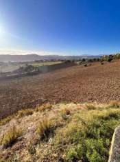 Foto Vendita Terreno agricolo via marchesi Monte Urano (FM)