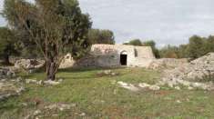 Foto VENDITA TERRENO CON TRULLO C.DA MONTESCOTANO VILLA CASTELLI