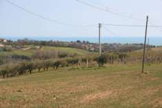 Foto Vendita Terreno edificabile strada provinciale 58 Massignano (AP)
