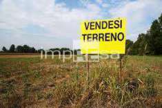 Foto Vendita Terreno edificabile via Paludetti Treviso (TV)