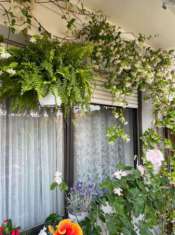 Foto Vendo attico centrale