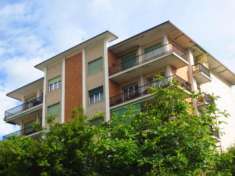Foto Verbania  - ZONA PALLANZA VENDESI APPARTAMENTO CON GIARDINO CONDOMINIALE