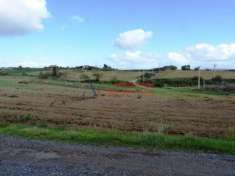 Foto VIA CASALE DI SPANORA - CASA RURALE E TERRENO AGRICOLO IN VENDITA