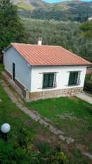 Foto Viareggina in vendita a Calci 85 mq  Rif: 1345406